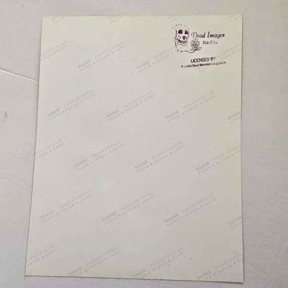 Mickey Hart Grateful Dead Drummer Photo By Rob Cohn Licensed Print Kodak Paper - Picture 4 of 12